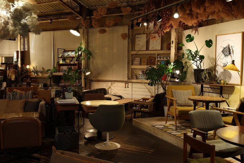 תמונות בזווית רחבה עם צלילות נהדרת