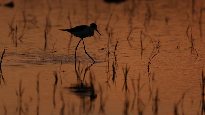 Prenez le contrôle en toute confiance