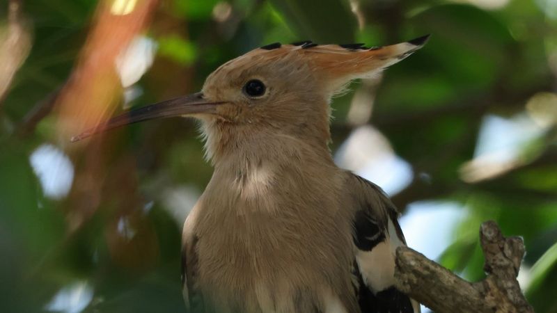 Faites les choses à votre façon et prenez le contrôle