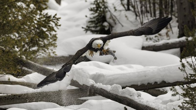 Repoussez les limites de la performance