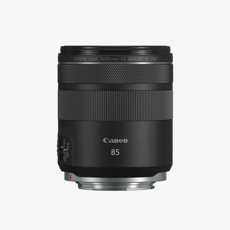 RF 85mm F2 Macro IS STM
<br />
£70 Cashback