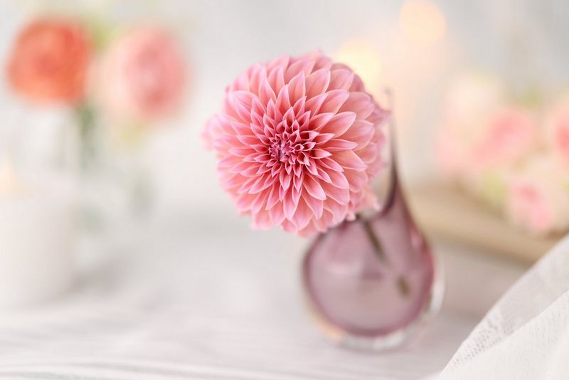 Canon RF 85mm F1.4L VCM