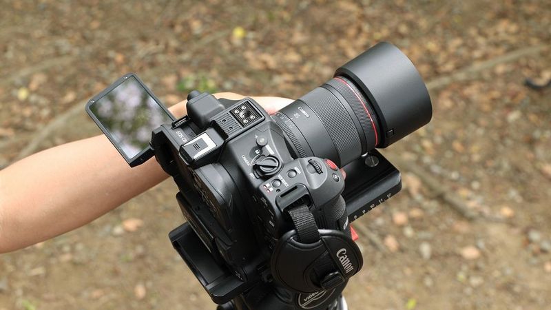 Canon RF 85mm F1.4L VCM