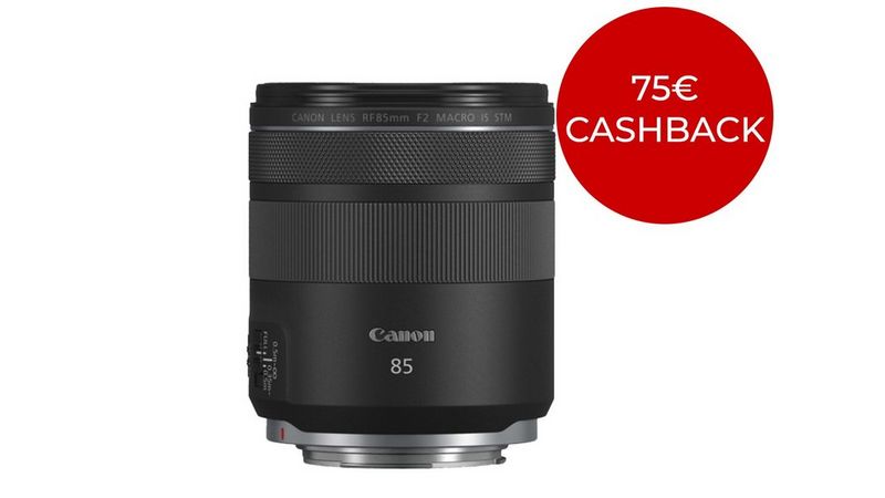 RF 85mm F2 MACRO IS STM