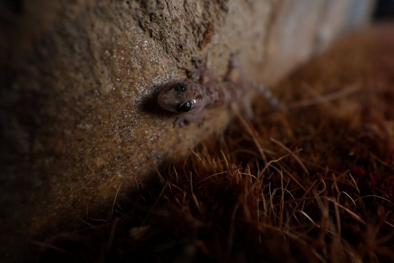 Explore, experiment and enjoy ultra-wide creativity