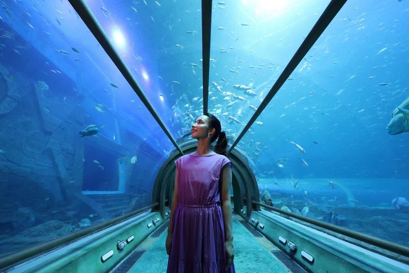 Vue grand angle d'une femme debout dans un tunnel aquarium en verre sous l'eau, avec de nombreux poissons qui nagent dans l'eau au-dessus, prise avec un objectif zoom grand angle Canon RF-S 10-18mm F4.5-6.3 IS STM.