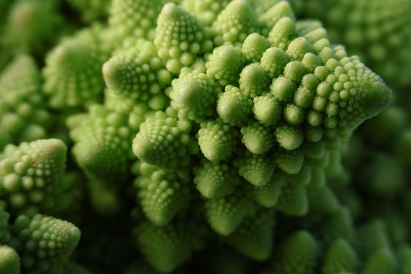 An extreme close-up of a green Romanesco cauliflower, captured using a Canon RF-S 18-150mm F3.5-6.3 IS STM lens.