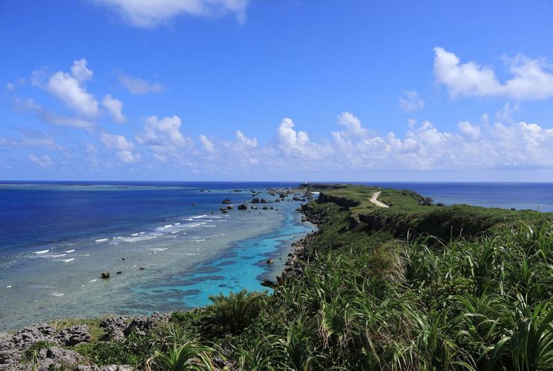 RF-S 55-210mm F5-7.1 IS STM 