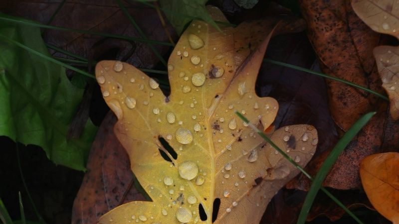 Nah dran sein, auch wenn man weit weg ist