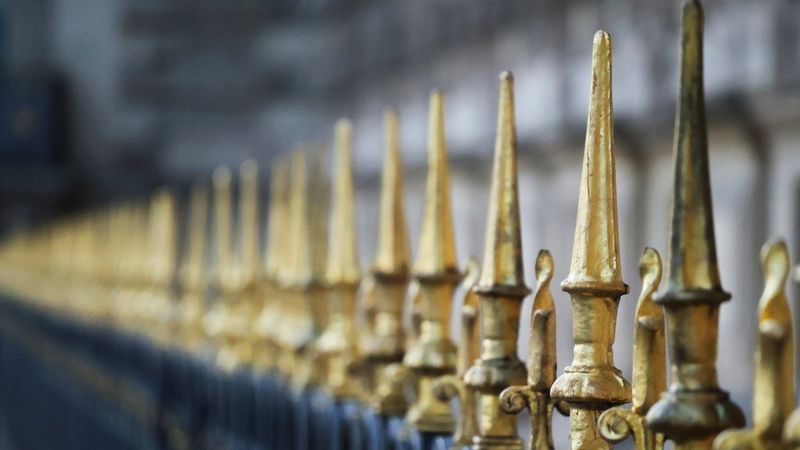 Семипелюсткова діафрагма
