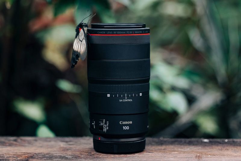 EF100mm F2.8Lマクロ IS USM：レンズ交換式カメラ・レンズ｜個人