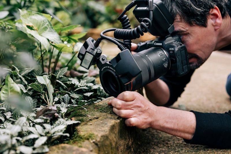 Een fotograaf probeert met een Canon Macro Twin Lite MT-26EX-RT-flitser van dichtbij een kikker tussen de bladeren te fotograferen.