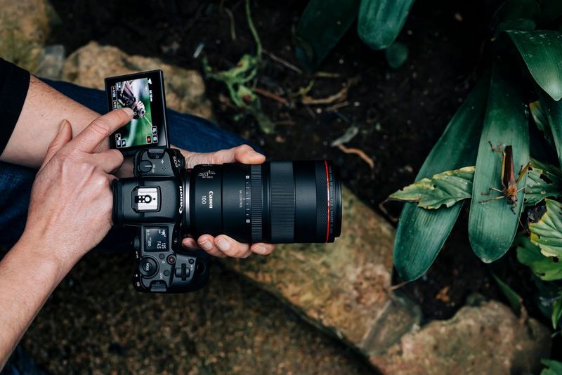 The best Canon RF lenses for video
