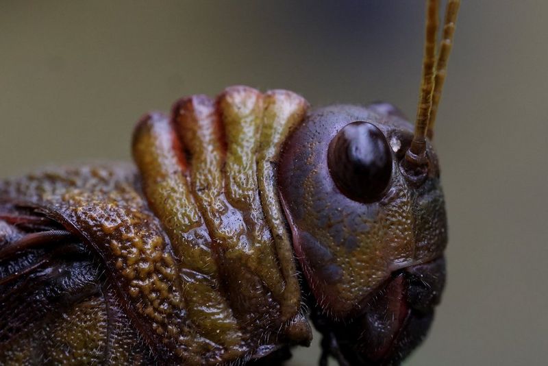 Kom dichterbij dan ooit