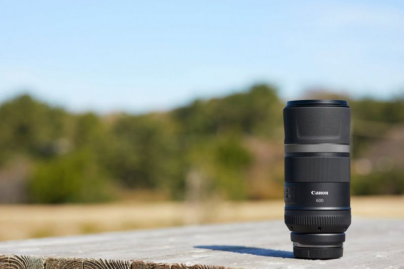 A Canon RF 600mm F11 IS STM lens on a wooden table outdoors, with a row of trees out of focus in the background.