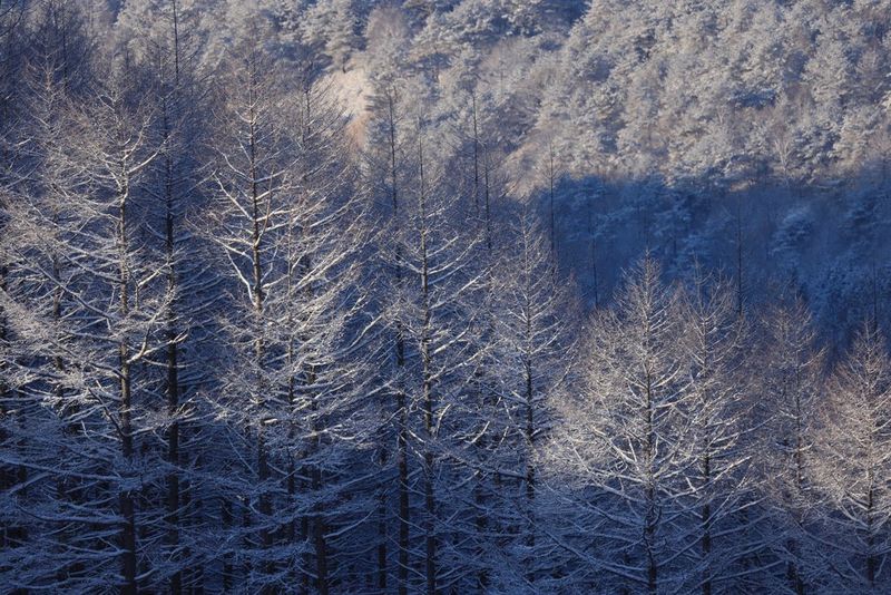 Geweldige lens voor op reis