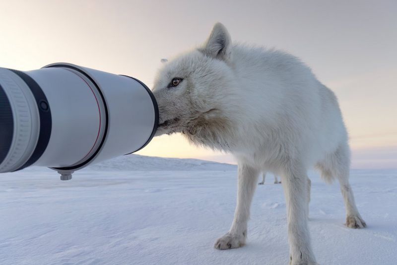 HAYAL ET, CANON İLE YAKALA