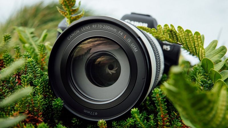 Canon RF 70-200mm F4 L IS USM レンズ Amazon.com : Canon RF70-200mm F4 L is USM Lens, Telephoto