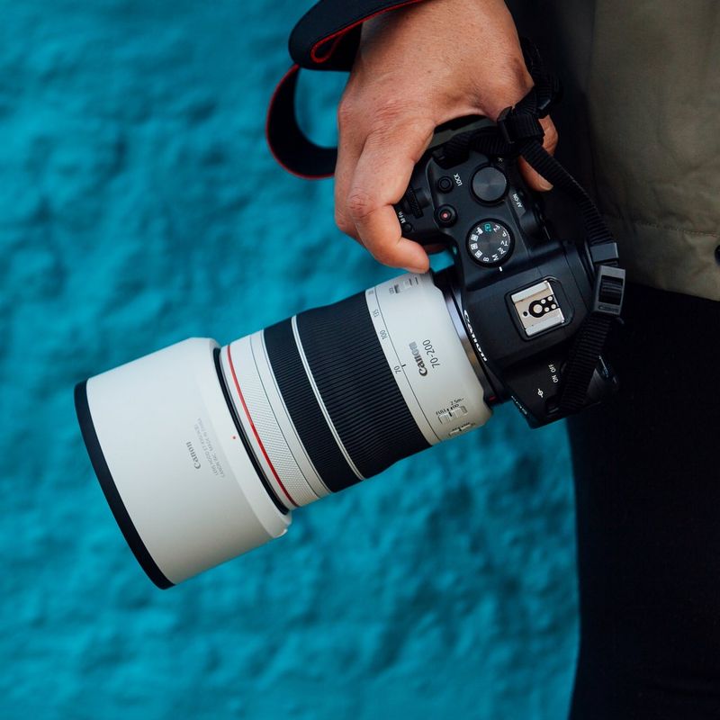 Amazon.com : Canon RF70-200mm F4 L is USM Lens, Telephoto