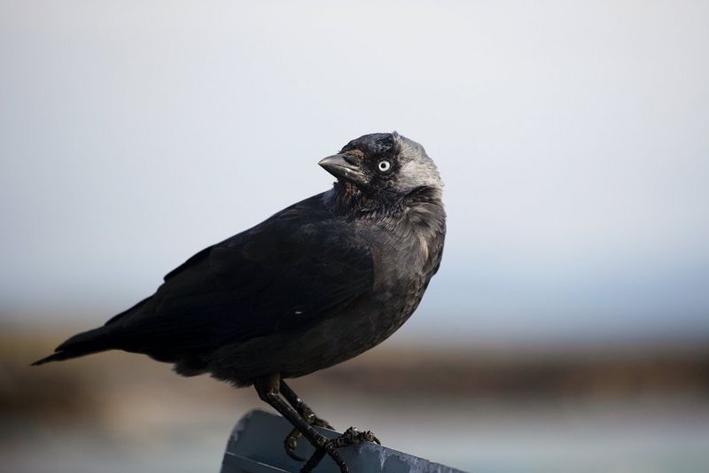 Get close to the moment