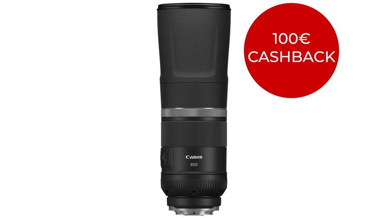 RF 800mm F11 IS STM
