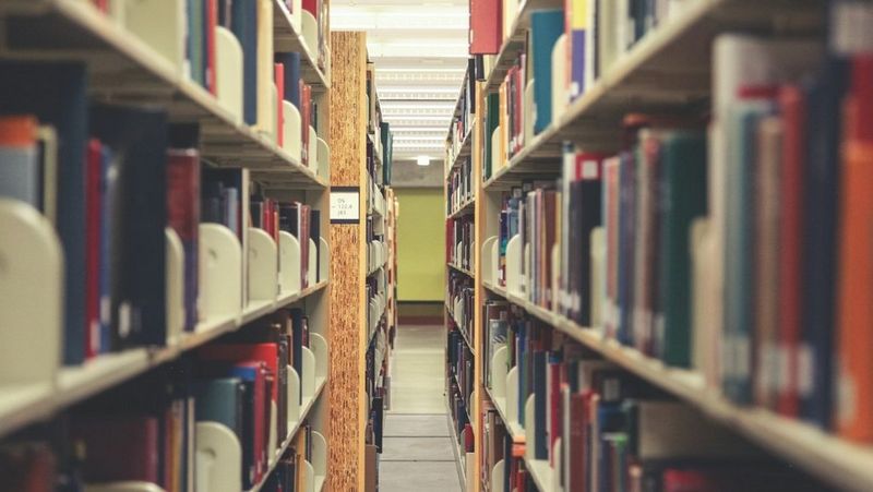 Colleagues working on computers linked to printers