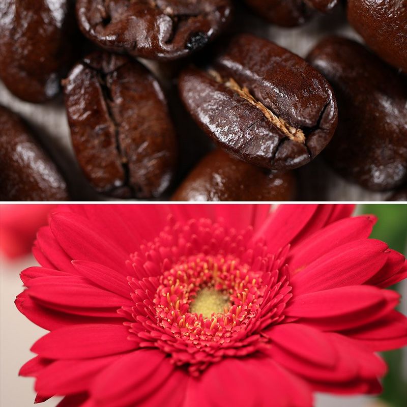 
       
         Снимайте крупным планом и запечатлейте невероятные детали
       
     