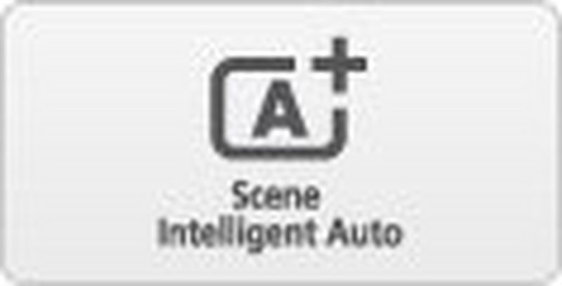 
         Stseeni automaatne analüüsimine ja parimate sätete valimine
       