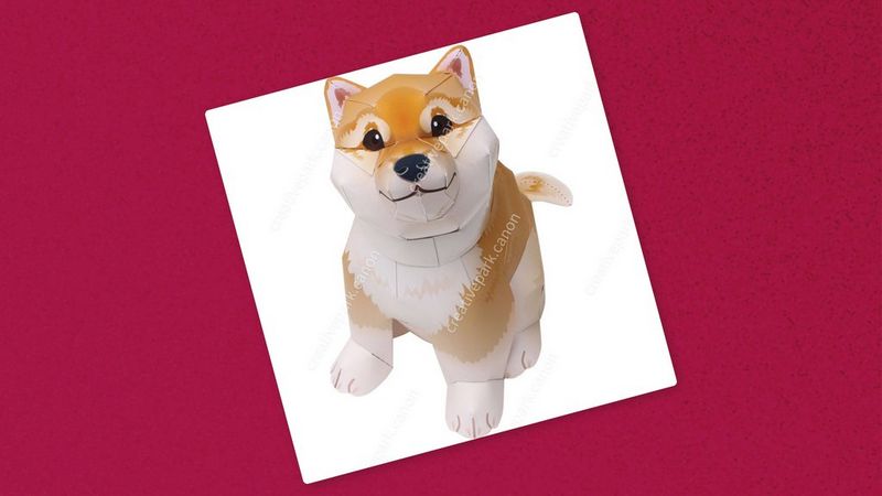 Shiba inu