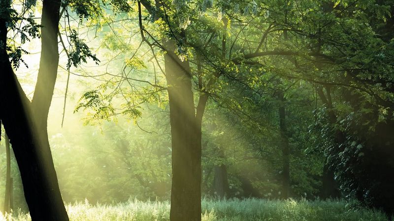 Achieve Supreme Sustainability