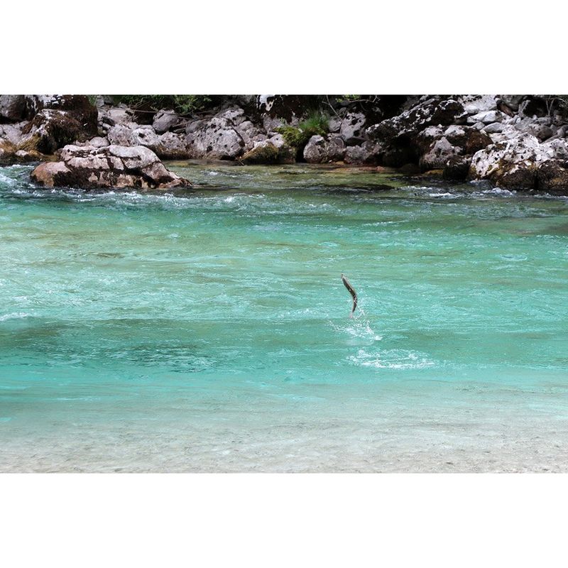 Urša Drofenik - Prvič na muharjenju