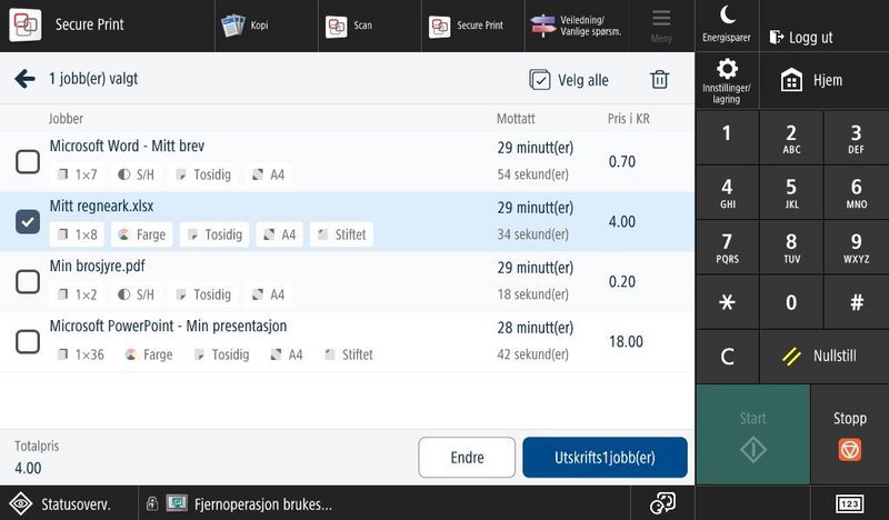 Hvordan ser brukergrensesnittet ut?