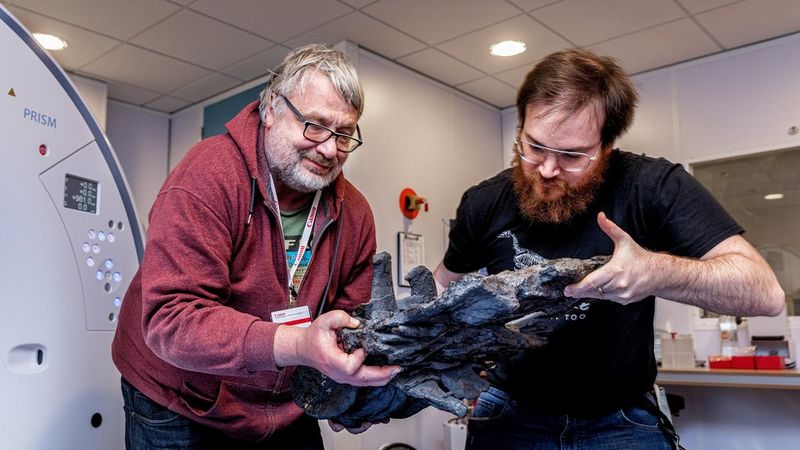 Two bearded men stand beside a CT scanner. Between them they are carefully holding a large, fossilised set of bones, which are grey/black and have the appearance of being charred.