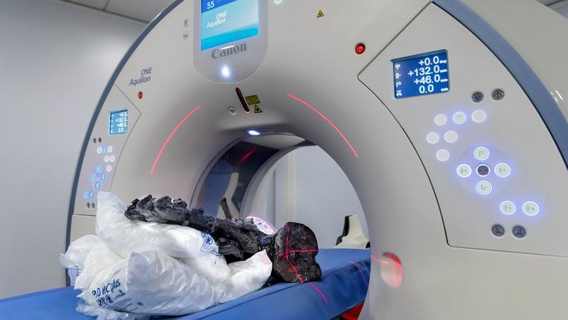 A Canon Medical Aquilion ONE / PRISM Edition CT scanner. On the scanner bed lies plastic covered cushions, on top of which are the fossilised bones of a dinosaur.