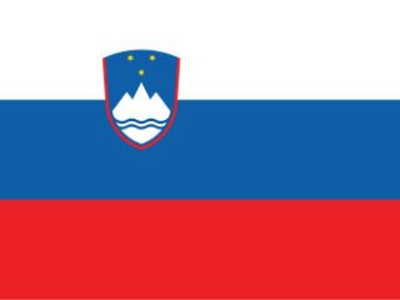 Slovenia flag