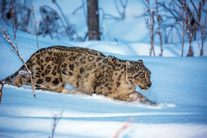 Добро пожаловать в Невидимый мир  КӨЗГЕ КӨРІНБЕС ӘЛЕМге Қош келдіңіз
