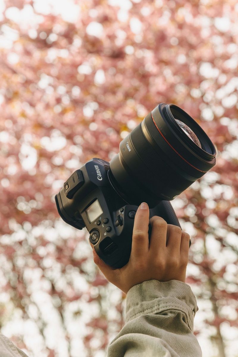 A hand holds a Canon mirrorless camera fitted with an RF lens, framed against a softly blurred background of pink cherry blossoms.