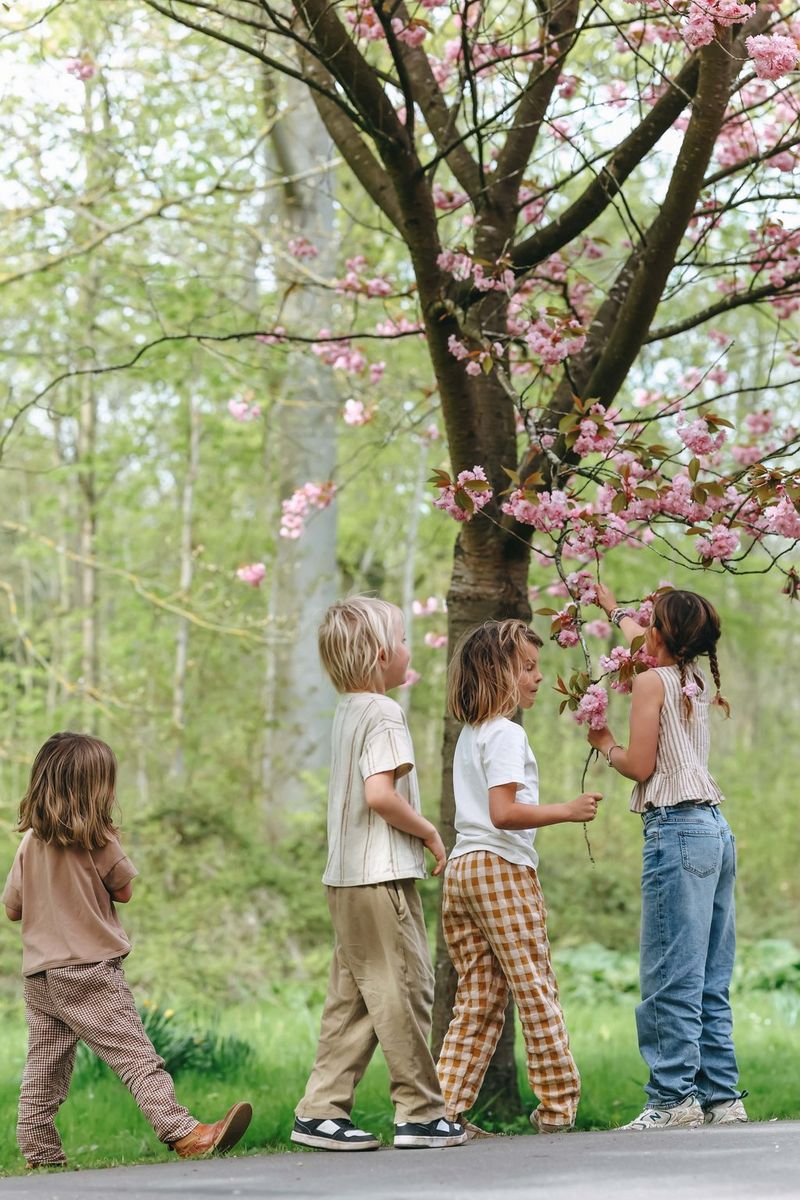 Four children standing beneath a flowering tree in a green outdoor setting, reaching up to touch pink blossoms. The scene is set along a quiet path surrounded by fresh spring foliage, with soft natural light highlighting the pastel colours and creating a calm, seasonal atmosphere.