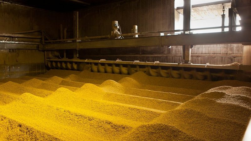 Kolle ligger i en silo