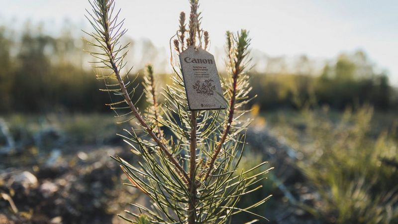 Sostenibilidad_Imagen 1_v1