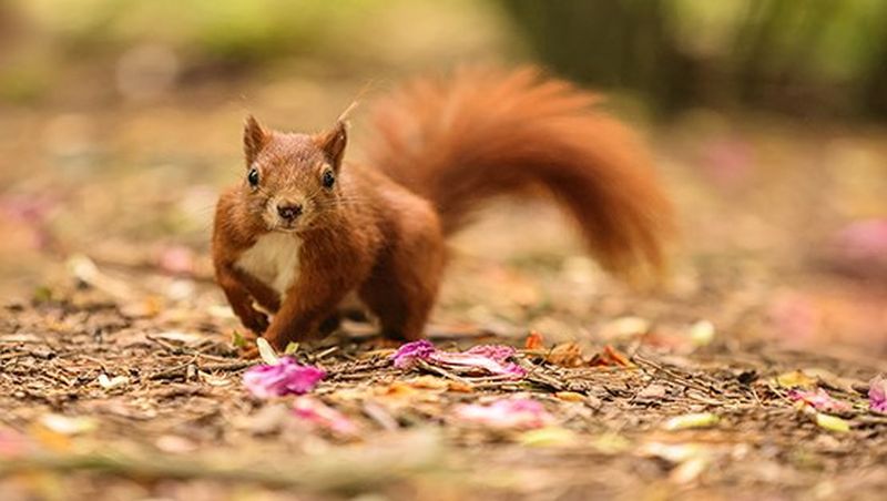 Suggerimenti e tecniche