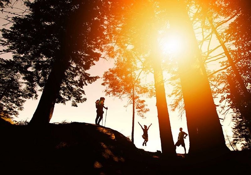 Canon ondersteunt uw digitale transformatie