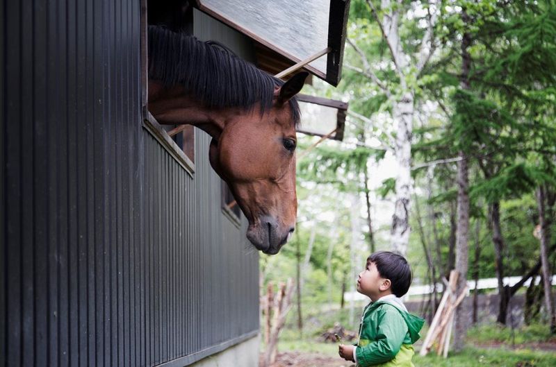 city scape connected with network lines