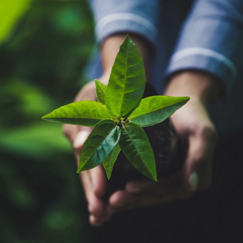 Vastuullisuus Canonilla