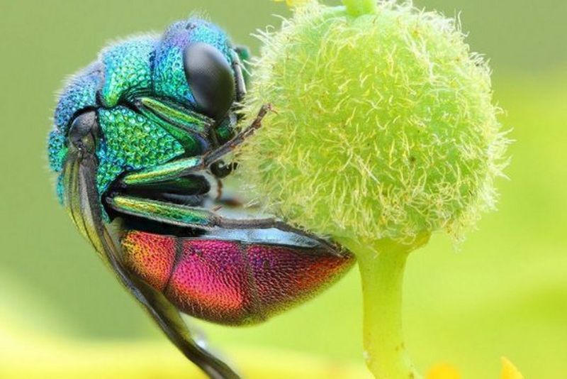 sustainability at canon