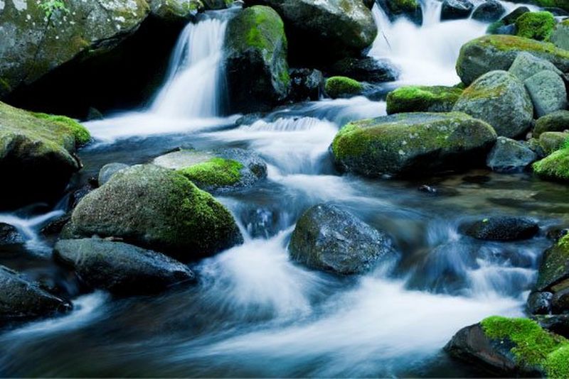 Looking to make your print production more sustainable?