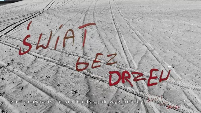 Miejsce II: Maksymilian Smołuch  Świat bez drzew