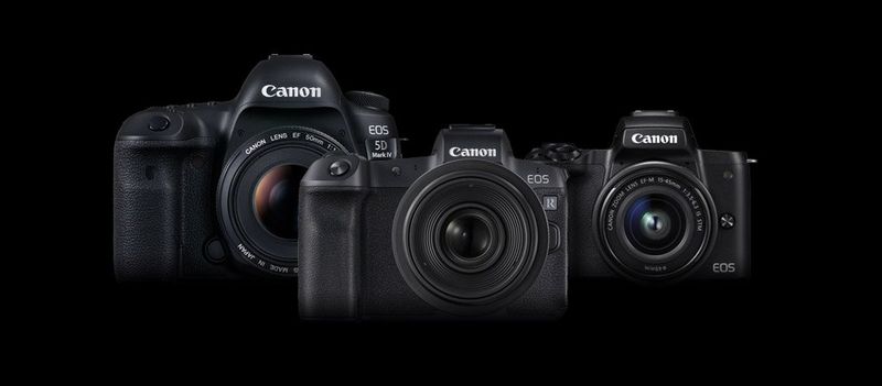Canon EOS 5D Mark IV, EOS R & EOS M50