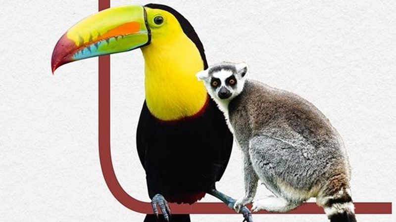 Vlog « Aujourd’hui à Montier » 2022