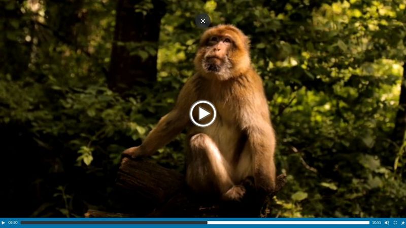 vidéo EOS R7 – JC Pieri